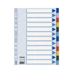 Regiszter műanyag A4, 12 részes Esselte Regiszter Esselte