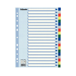 Regiszter műanyag A4, 20 részes Esselte Regiszter Esselte