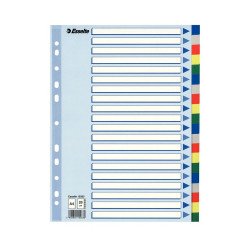 Regiszter műanyag A4, 20 részes Esselte Regiszter Esselte