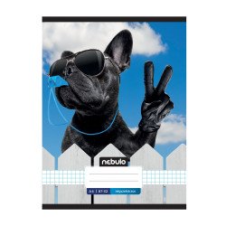 Füzet, A4, kockás, 87-32, Xtreme minták, 12 db/csomag Nebulo Iskolai füzet Nebulo