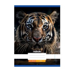 Füzet, A4, sima, 80-32, Állatos minták, 12 db/csomag Nebulo Iskolai füzet Nebulo