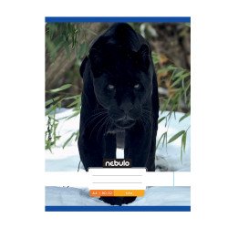 Füzet, A4, sima, 80-32, Állatos minták, 12 db/csomag Nebulo Iskolai füzet Nebulo