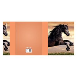 Füzetbox, A5, Ló, Nebulo Tok, tartó, füzetbox Nebulo