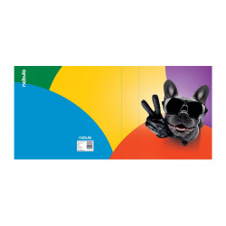 Füzetbox, A5, Menő kutya, Nebulo Tok, tartó, füzetbox Nebulo
