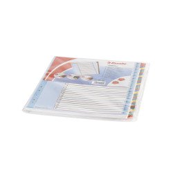 Elválasztólap, A4, Maxi regiszteres 1-31 laminált karton előlap 100210 Esselte Elválasztó lap Esselte