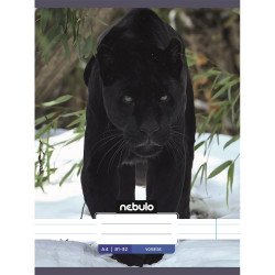 Füzet, A4, vonalas, 81-32, Állatos minták, 12 db/csomag Nebulo Iskolai füzet Nebulo