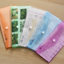 Irattartó tasak DL `csekk` patentos PP Bluering® transzparens Irattartó tasak, patentos Bluering