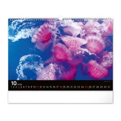 Falinaptár képes  480×330mm Ocean Wildlife Realsystem 2026. Falinaptár Realsystem