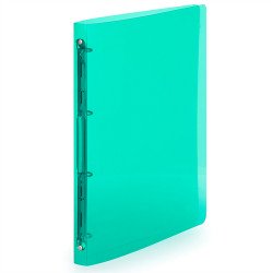 Gyűrűskönyv A4, 4 gyűrűs 2cm gerinc áttetsző PP, Karton P+P Lines zöld Gyűrűskönyv Karton