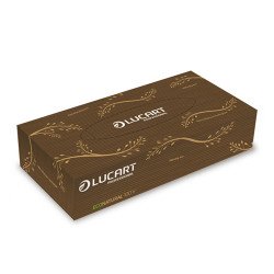 Kozmetikai kendő 2 rétegű 100 lap/doboz EcoNatural 100V Lucart_841073 havanna barna Papírzsebkendők Lucart